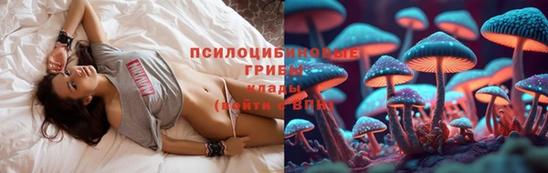 трава Верея
