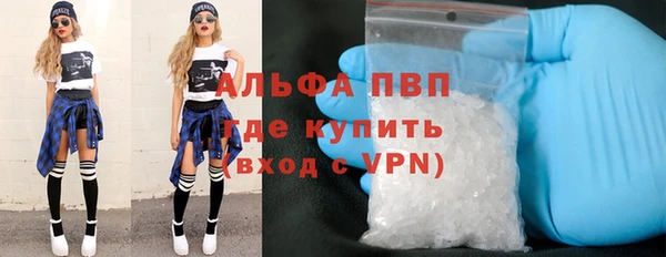 индика Верхний Тагил