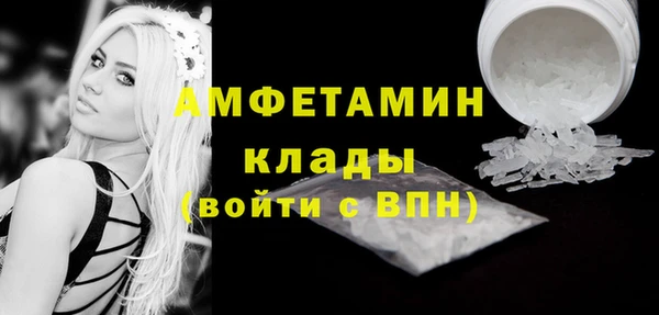 индика Верхний Тагил