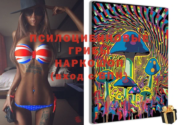 трава Верея