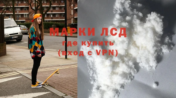 индика Верхний Тагил