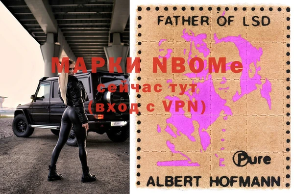индика Верхний Тагил