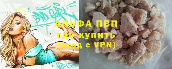 индика Верхний Тагил