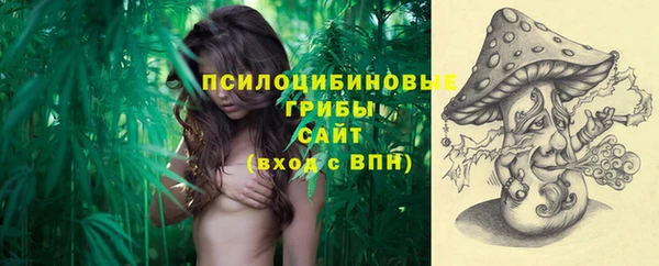 трава Верея