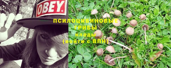 трава Верея
