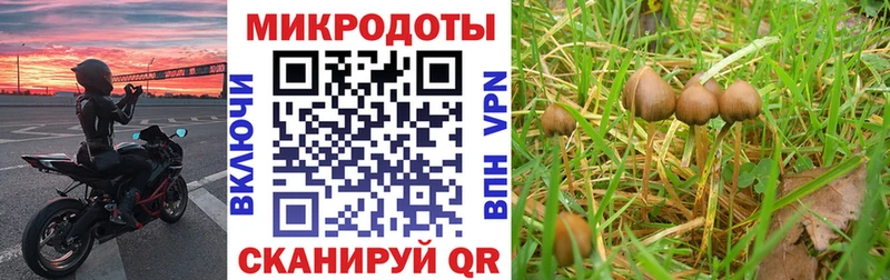 Галлюциногенные грибы MAGIC MUSHROOMS  Гудермес 
